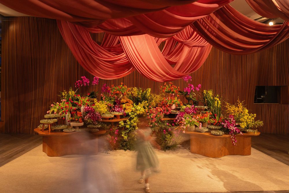 Elegant floral display with colorful orchids under red draped fabric ceiling in a warmly lit wooden interior.