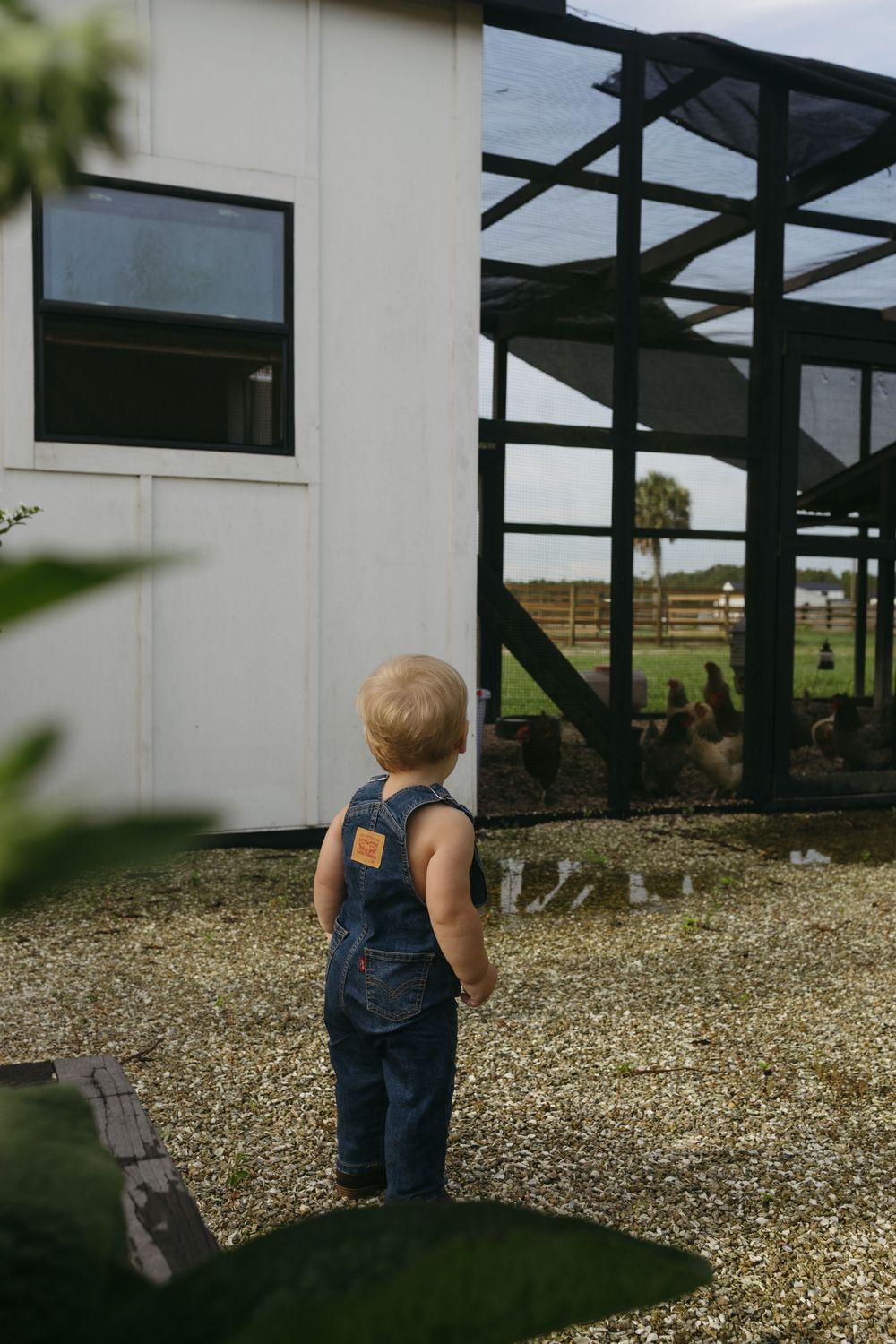 homestead family photoshoot