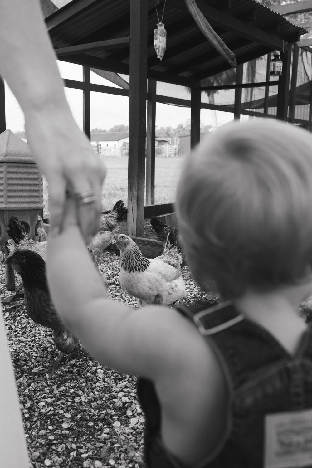 Farm homestead family photoshoot