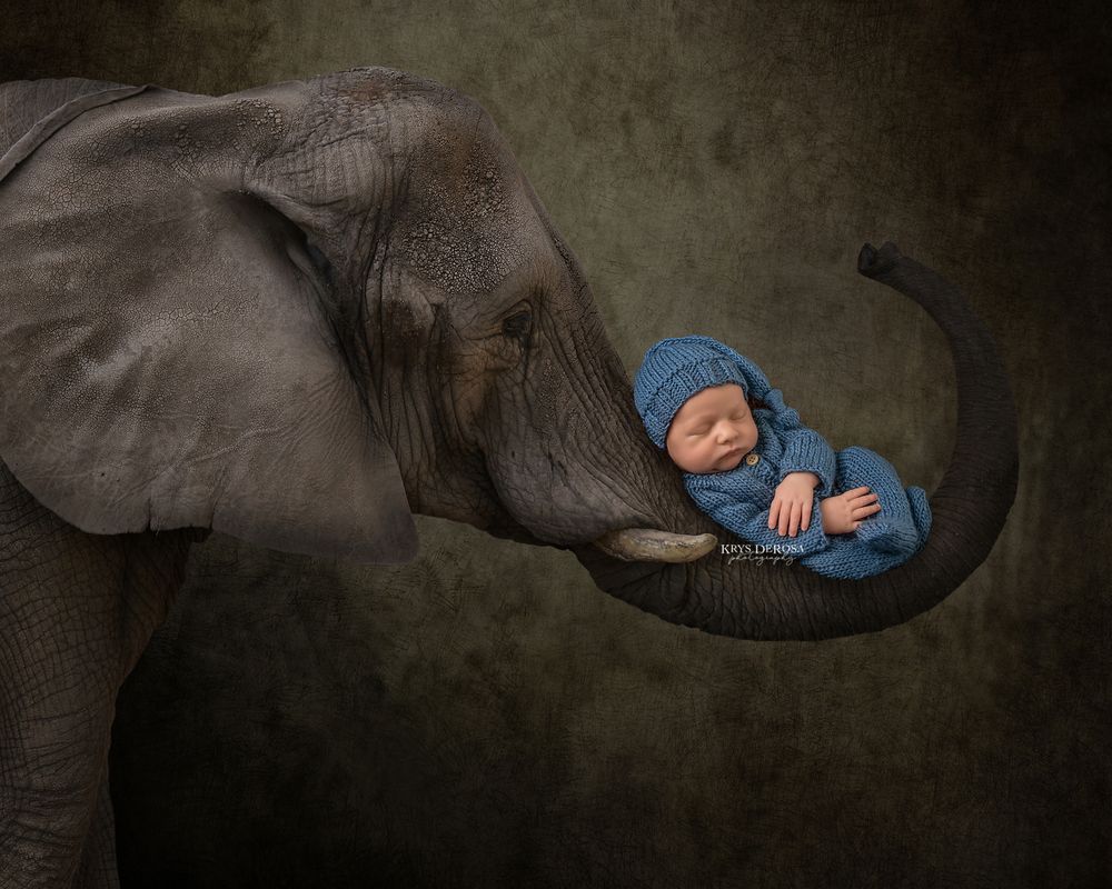 A sleeping newborn baby in blue knit outfit cradled gently in an elephant's trunk against a dark background.