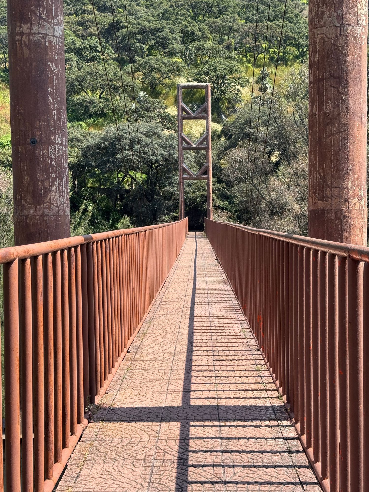 Largo puente peatonal de madera con barandillas rústicas que se extiende a través de un exuberante paisaje forestal.