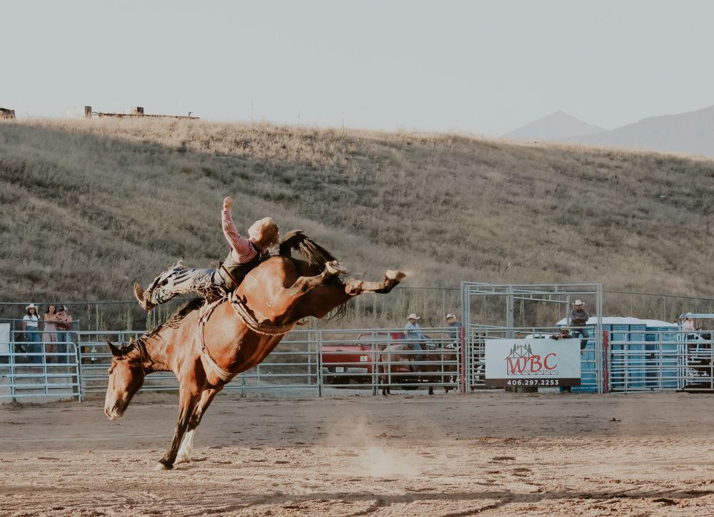 Bucking bronco throws rider high in dusty rodeo arena.