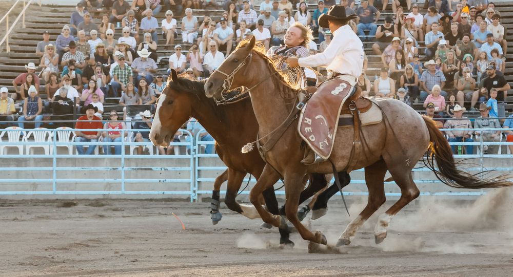 Riders racing horses in competitive rodeo event with stadium crowd.