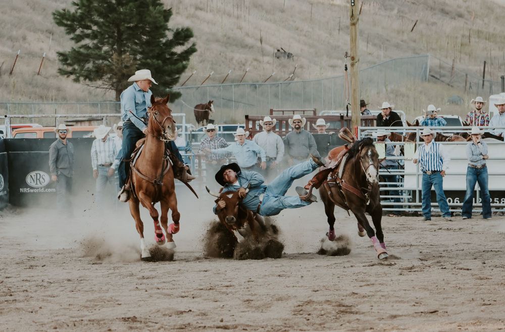 Action shot of cowboys steer wrestling in dusty rodeo arena with spectators watching.