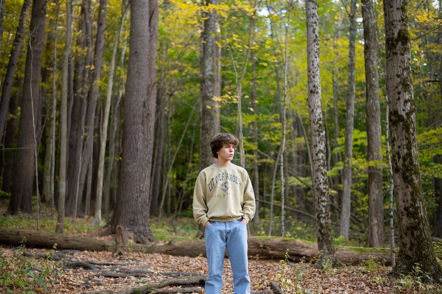 A person in a cream sweater and jeans stands alone in an autumn forest with yellow foliage and tall trees.