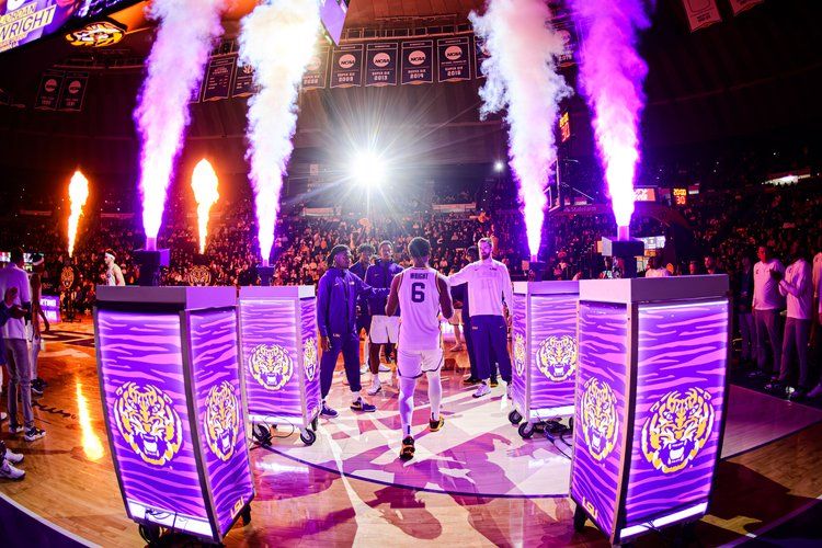 Basketball arena entrance with purple illuminated panels and smoke effects creates dramatic pre-game atmosphere.