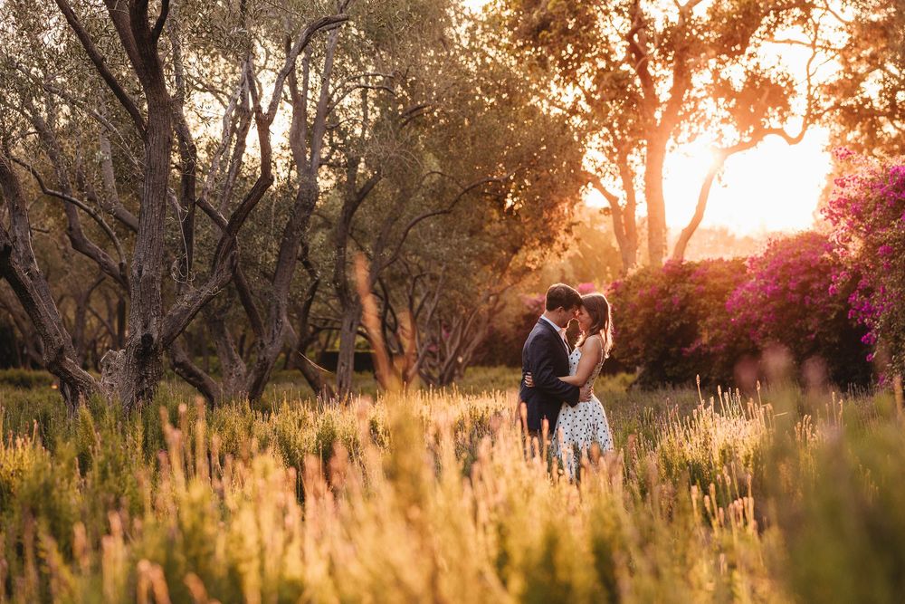 Romantic silhouette of couple in golden field at sunset with trees in background.