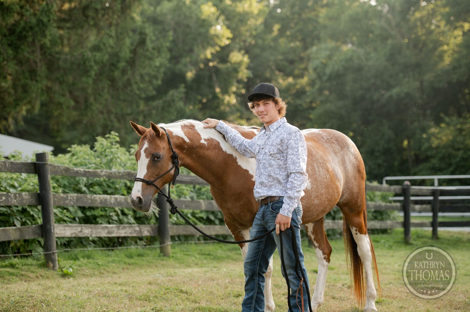 Paint horse standing in profile view next to a wooden fence during golden hour.