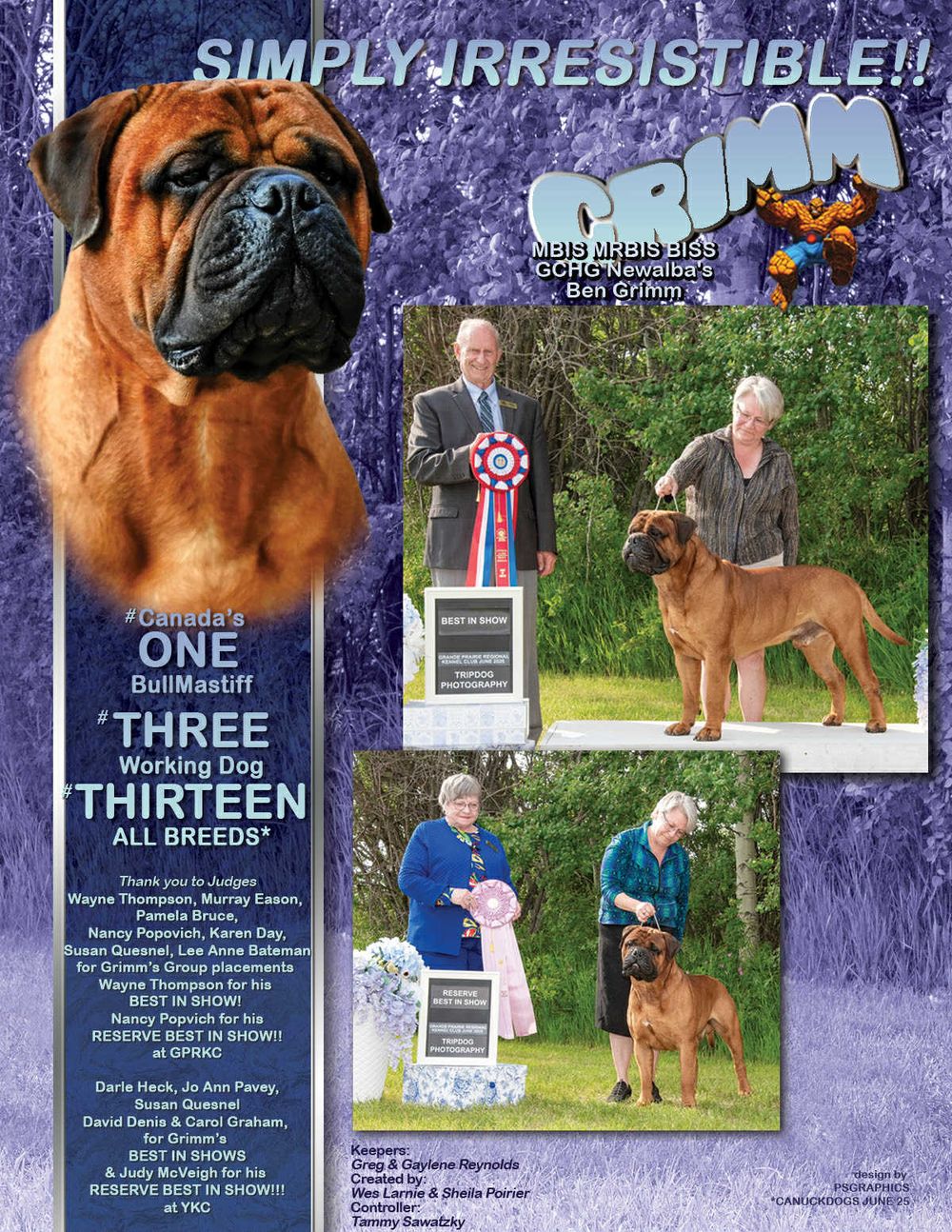 Conformation Ad, Advertisement, Bull Mastiff, Pet Photographer near me, Red Deer Alberta Dog Photographer