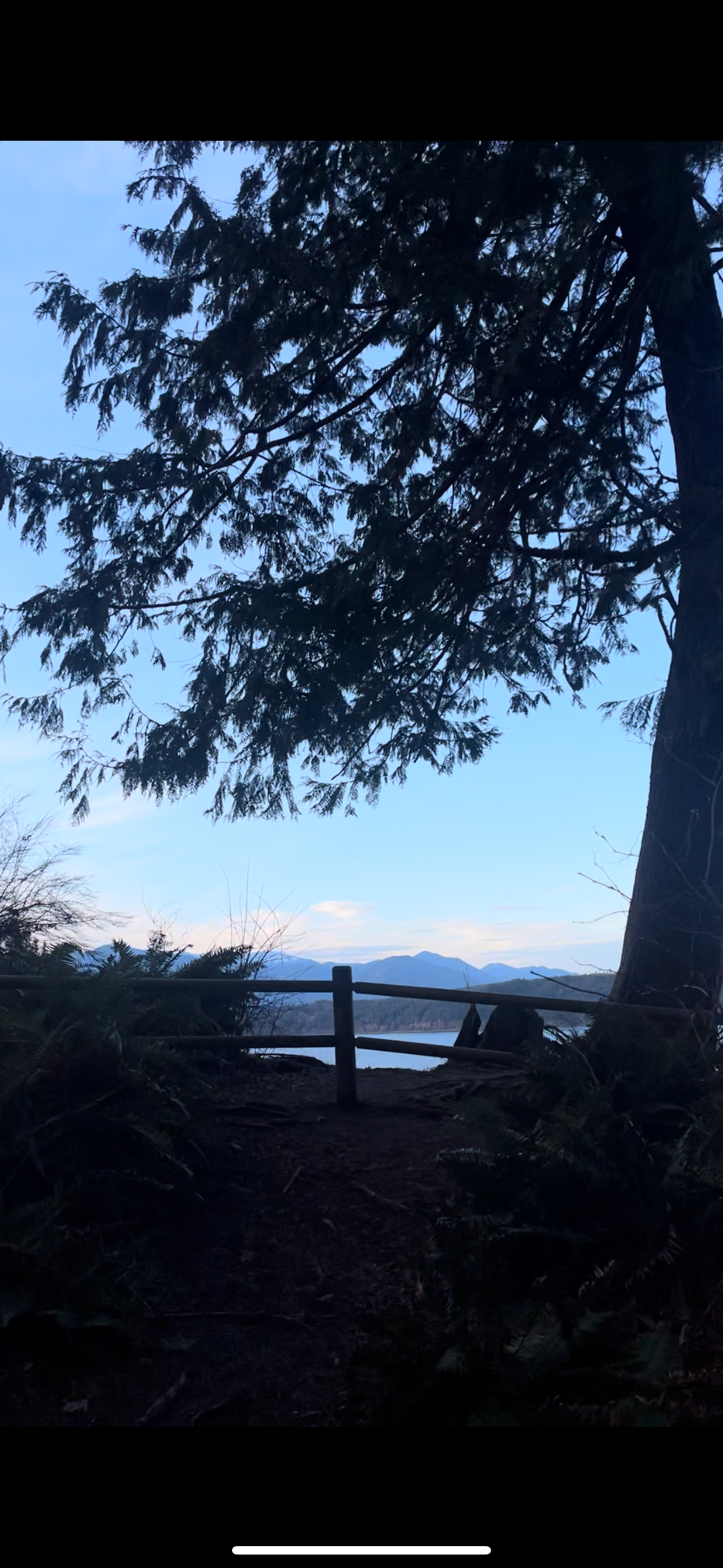 A peaceful viewing spot with wooden fence overlooking mountains and water, framed by evergreen branches against blue sky.