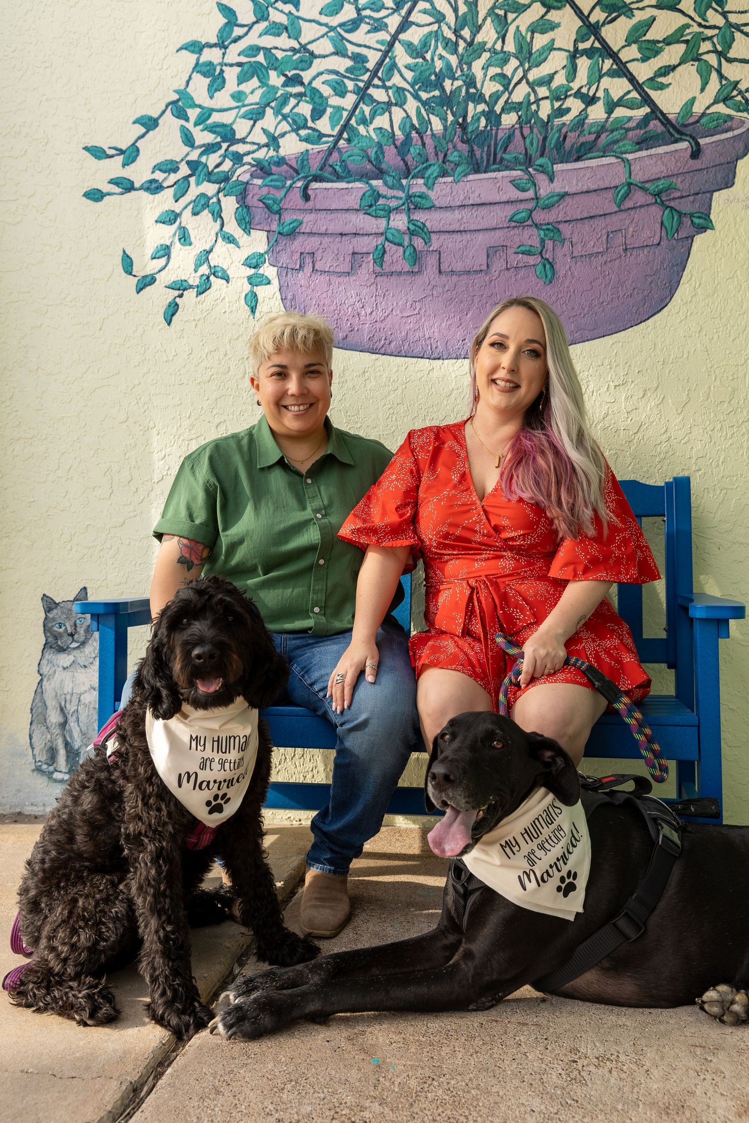 Couple sat with their dogs during an engagement shoot.
