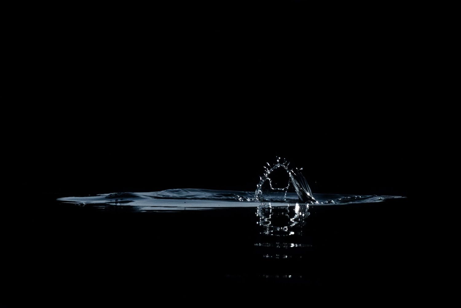 An arc of water and small ripple, created by the tail of a diving duck. Photo by Jessica Rix. #wacc:wild