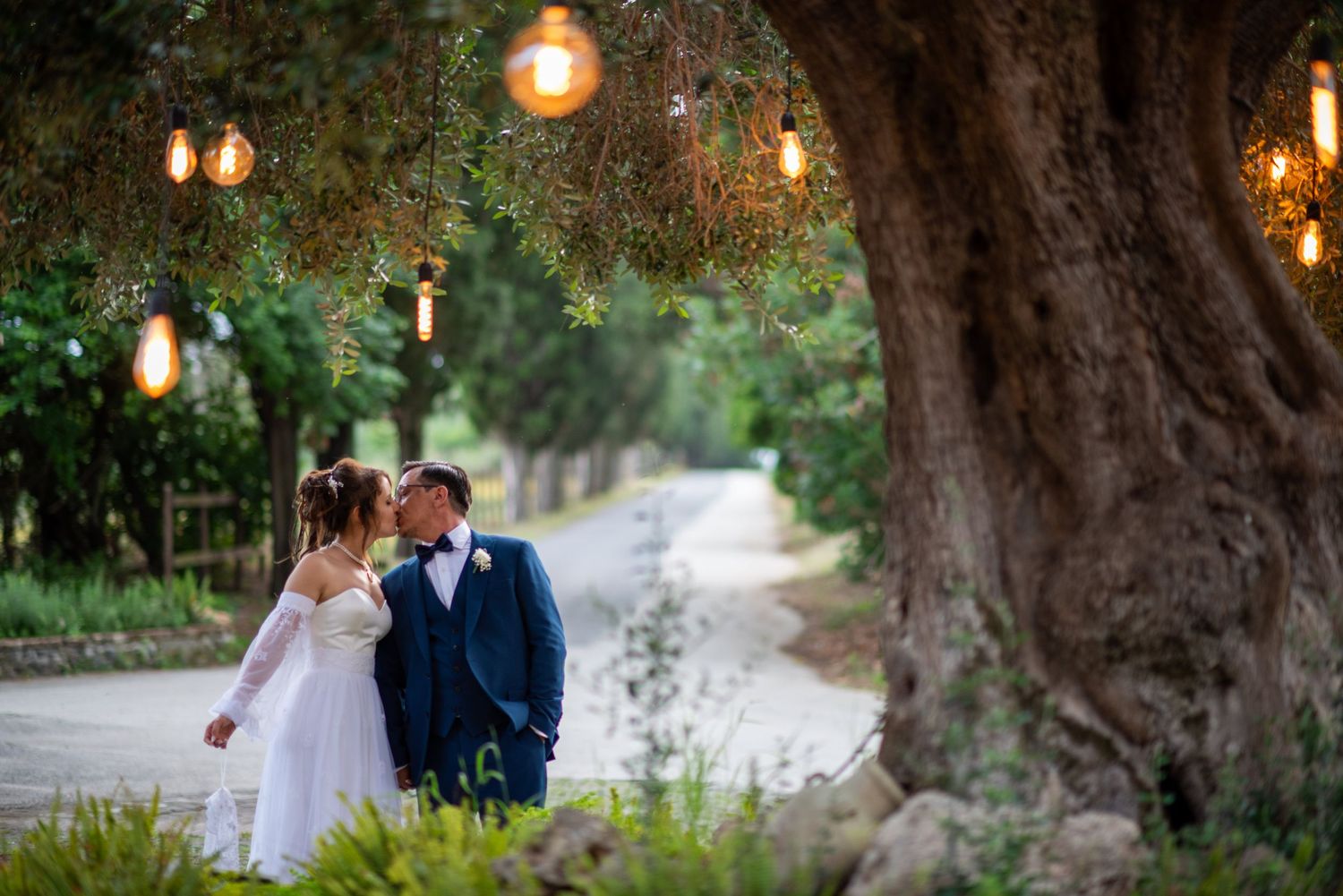 Romantic scene under tree with hanging Edison bulbs on garden path.