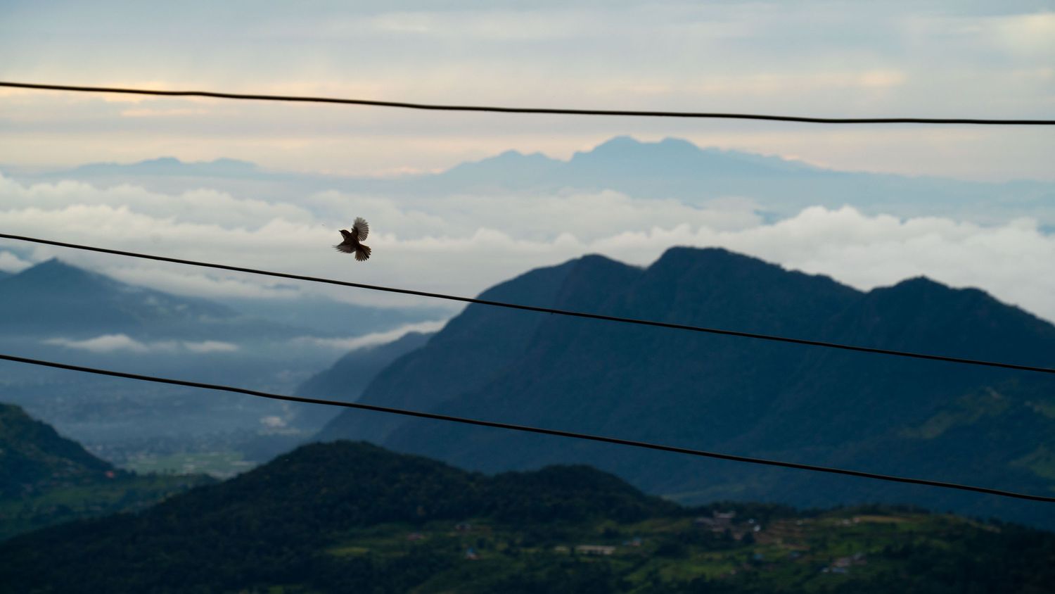 Silhouette of mountain ranges against a pastel sky with power lines in the foreground.
