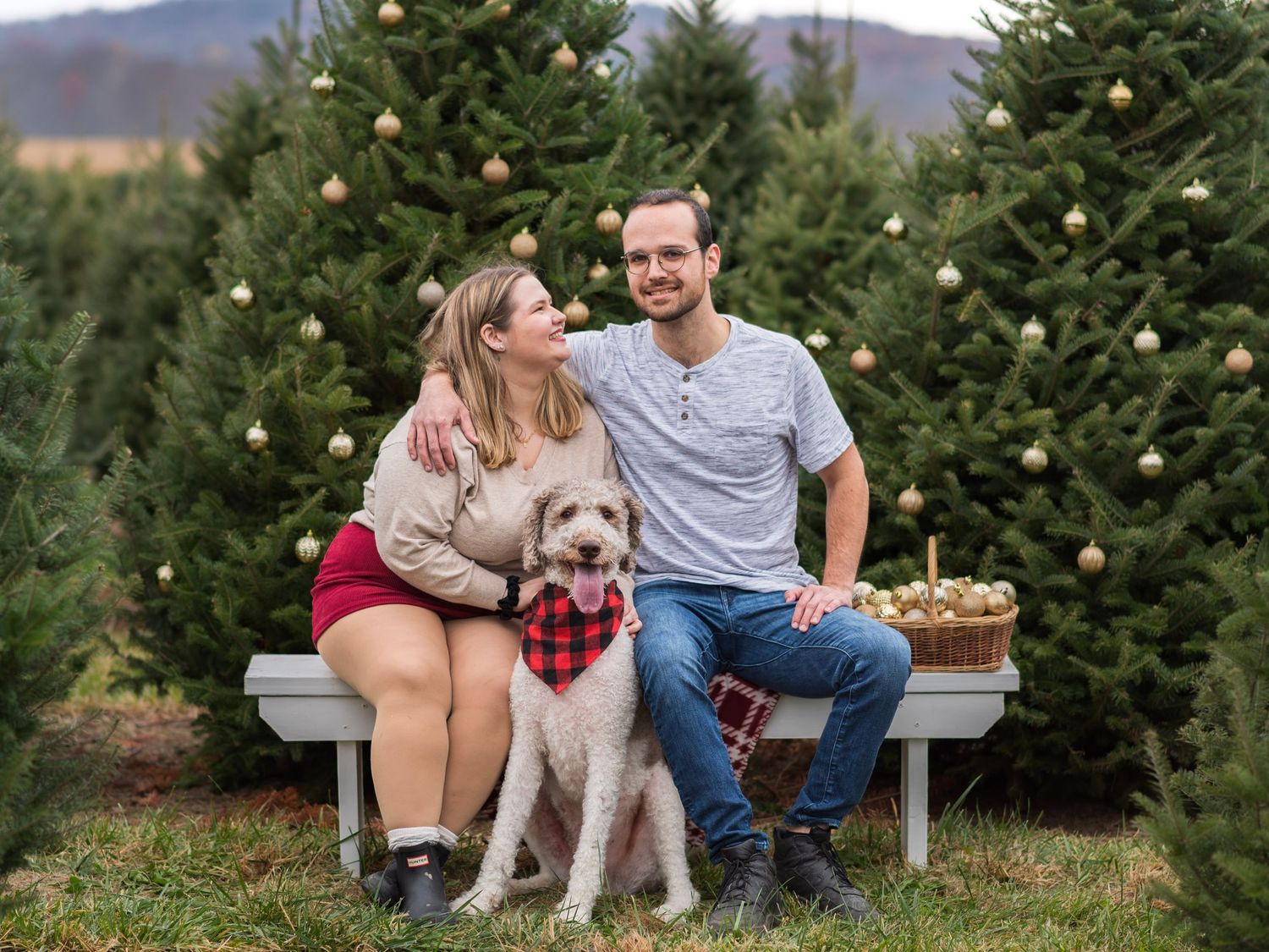 Couple with their dog sitting on bench at Christmas tree farm.