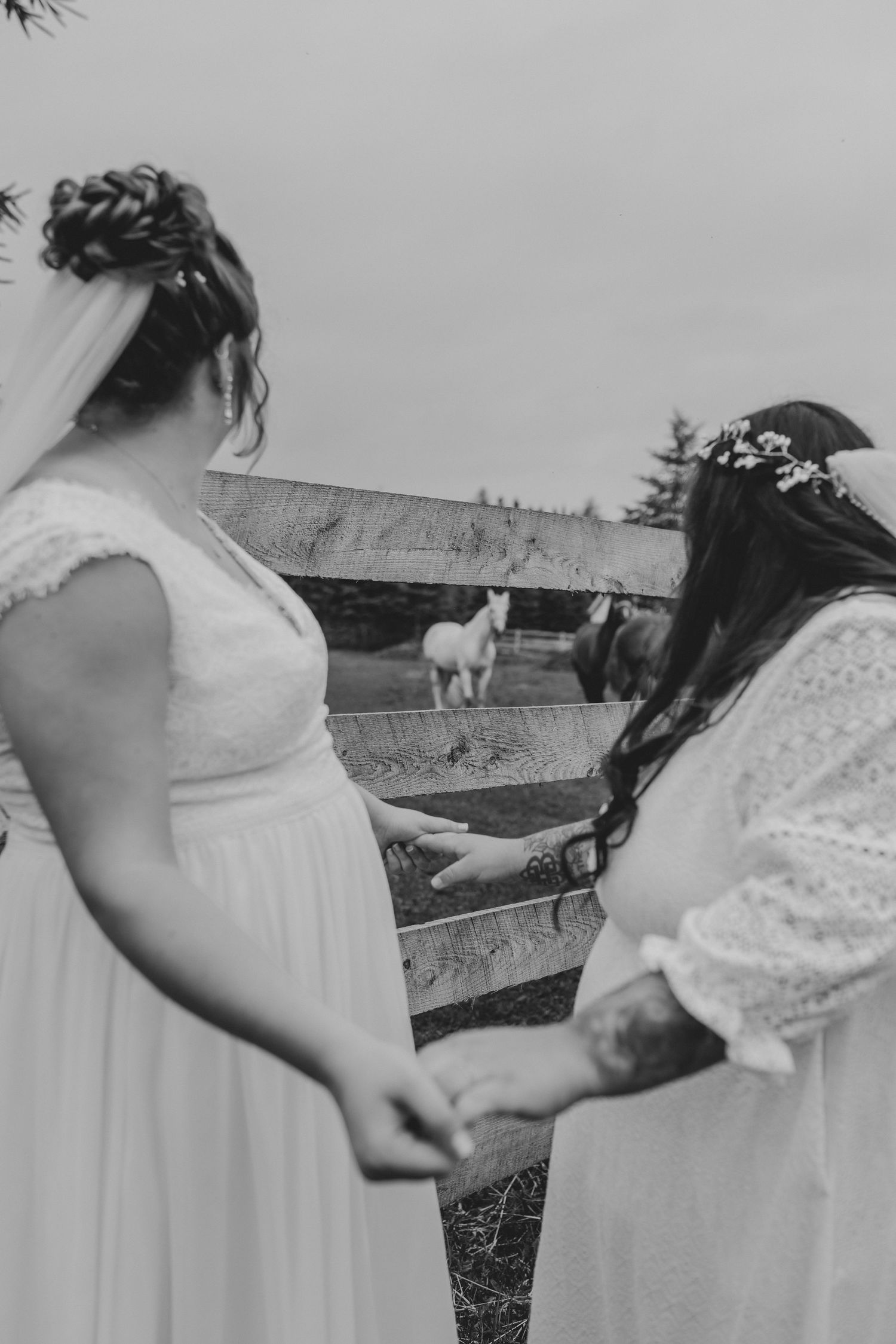 Black and white photo of two people in white dresses holding hands outdoors with horses visible in the background.