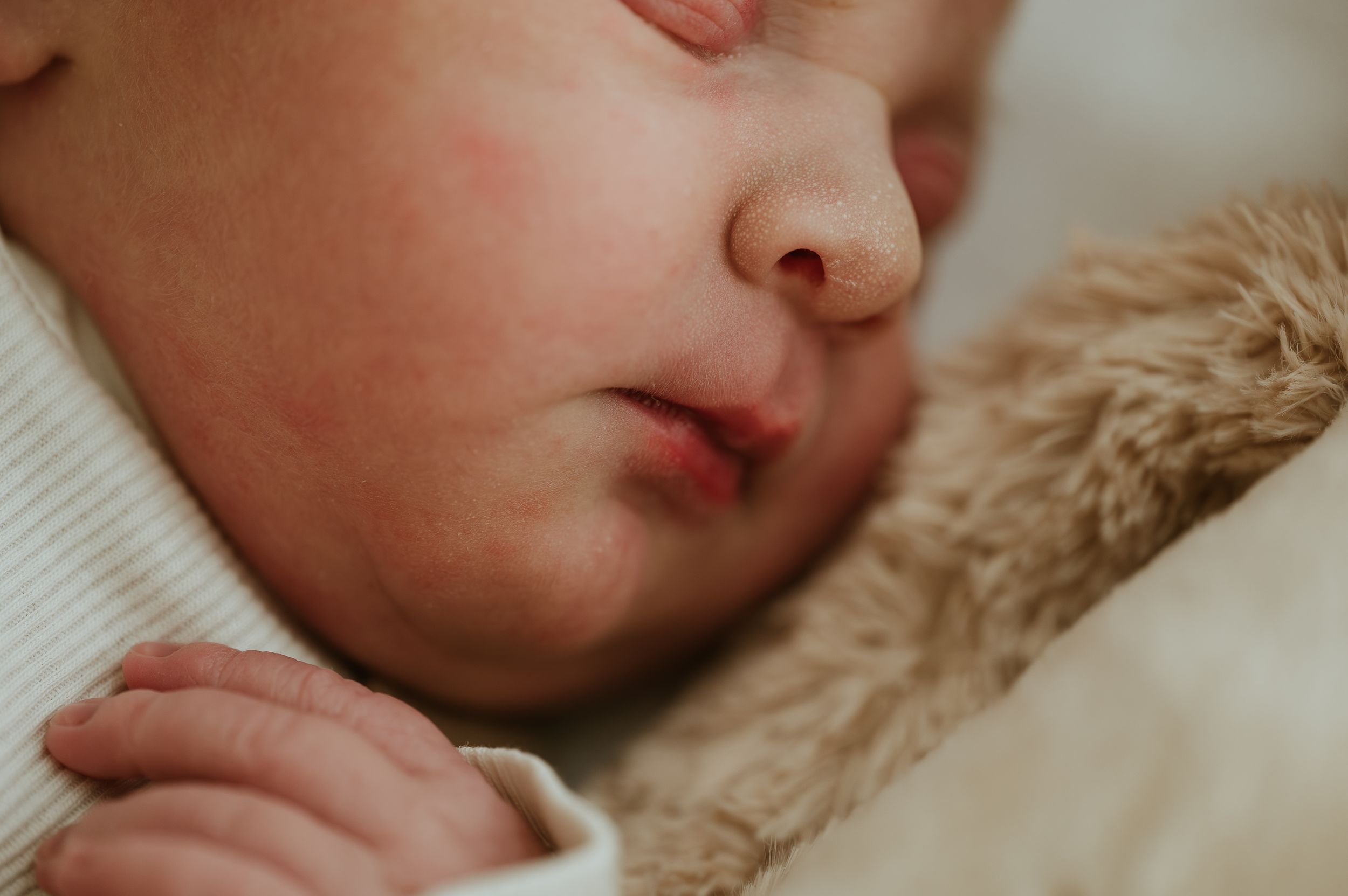 Close up Newborn AZ Delta Roeselare
