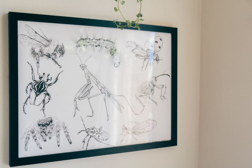 Professional tattoo photography for San Antonio