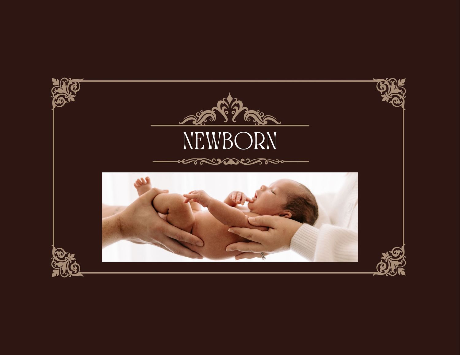 Elegant brown and gold newborn photography banner design with ornate vintage decorative elements and text.
