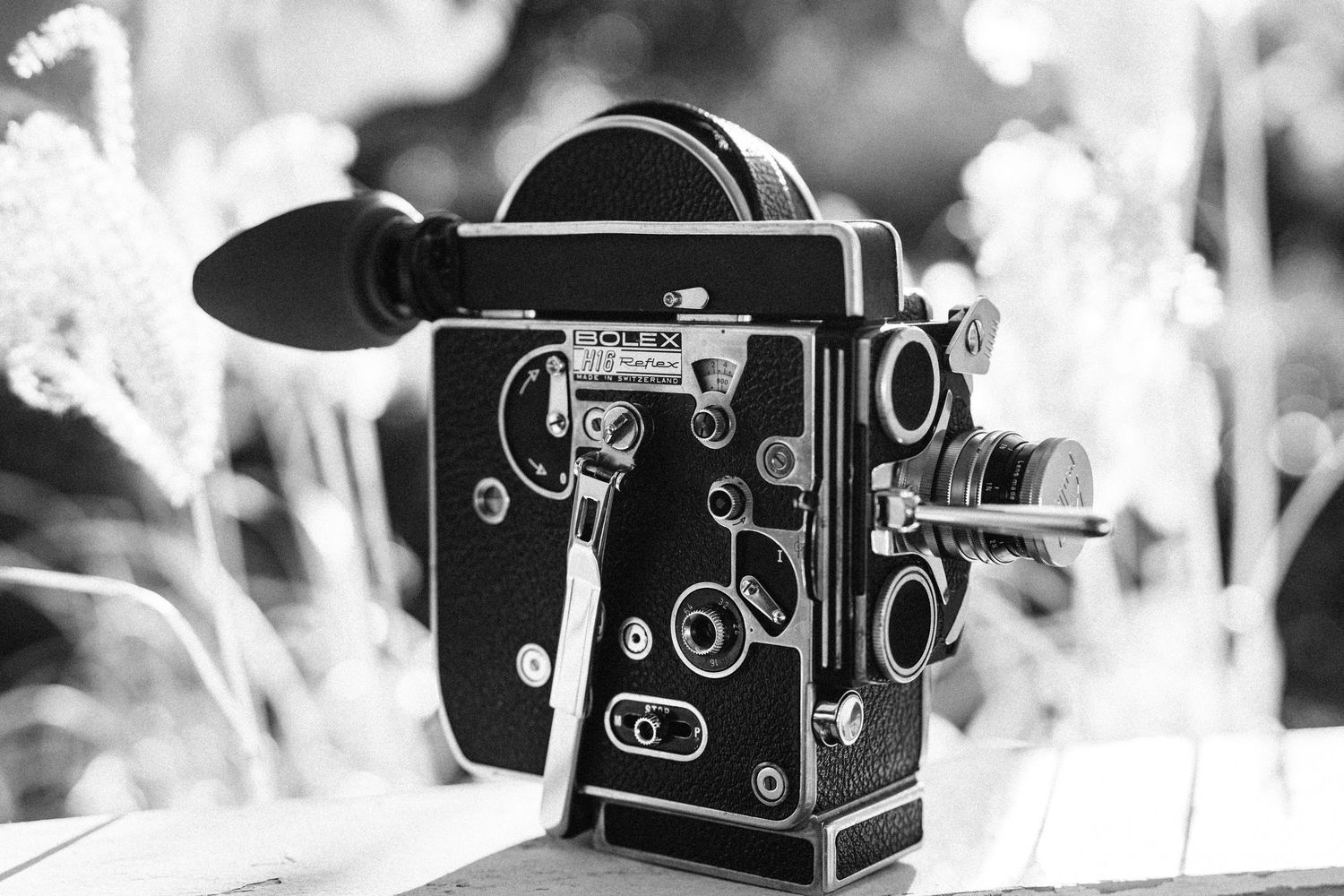 A row of vintage film cameras displayed in black and white against a blurred background.