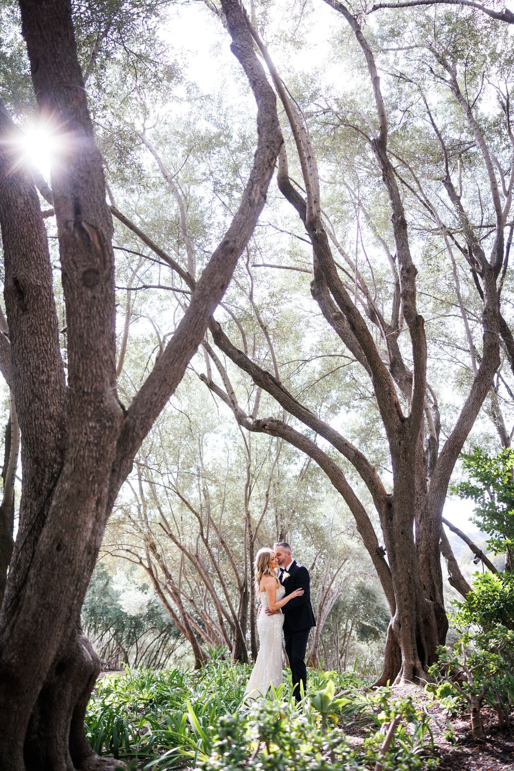 A couple shares a romantic moment in a sun-dappled grove of twisted trees with light streaming through the branches.