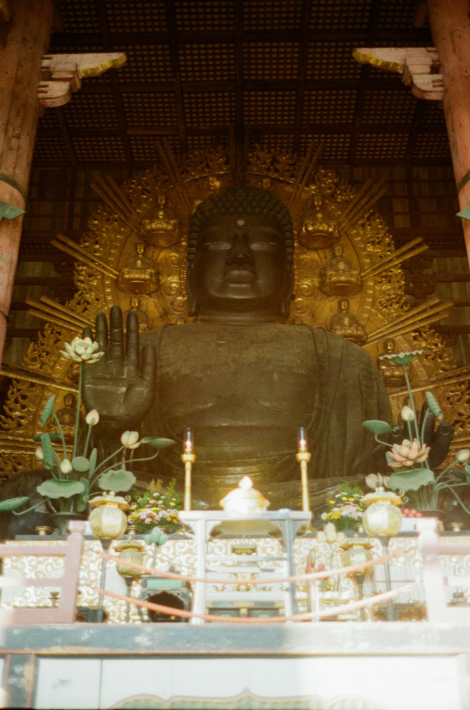 Ornate ceiling detail with lotus flowers and decorative patterns in a traditional Asian temple or palace interior.