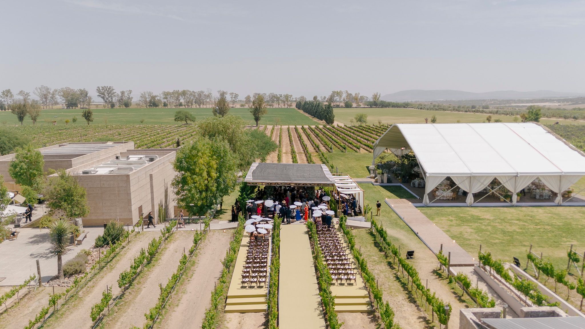 Aerial view of modern agricultural greenhouses and farming facilities arranged in neat rows across rural landscape.