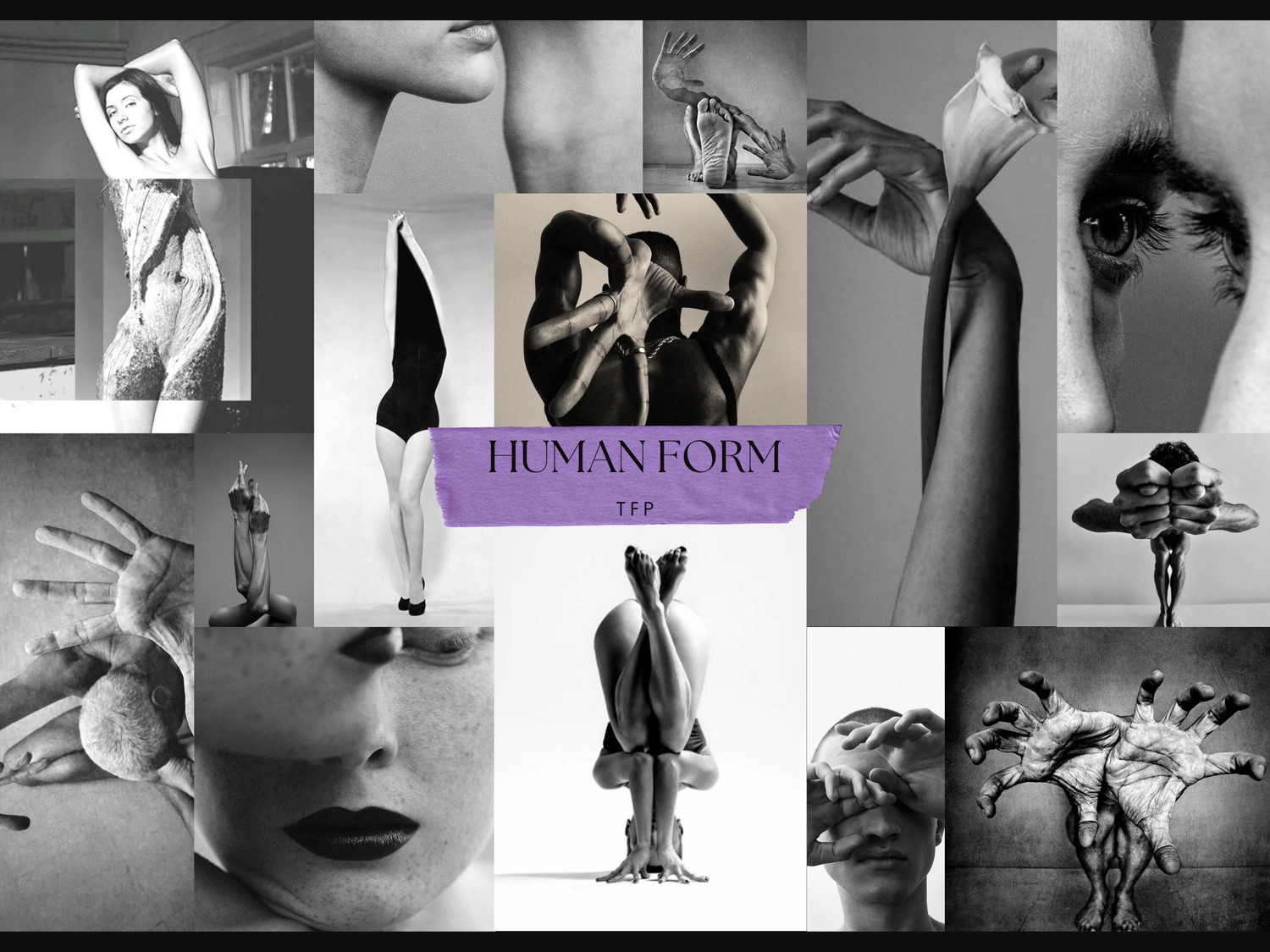 A collection of artistic black and white photographs showing ballet dancers, dance poses, and artistic portraits in a grid layout.