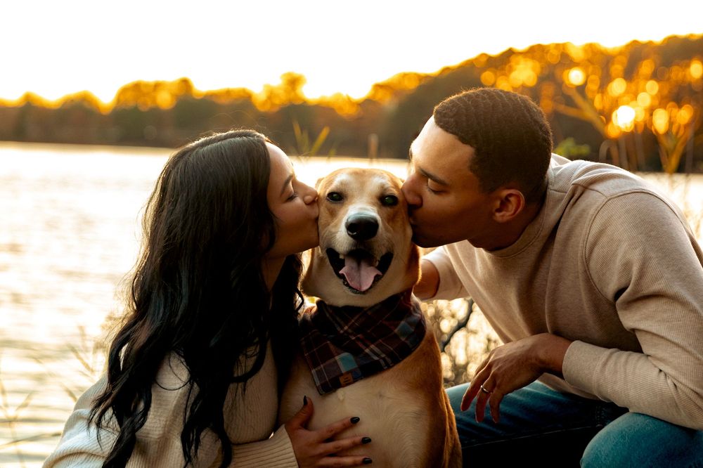 family and dog