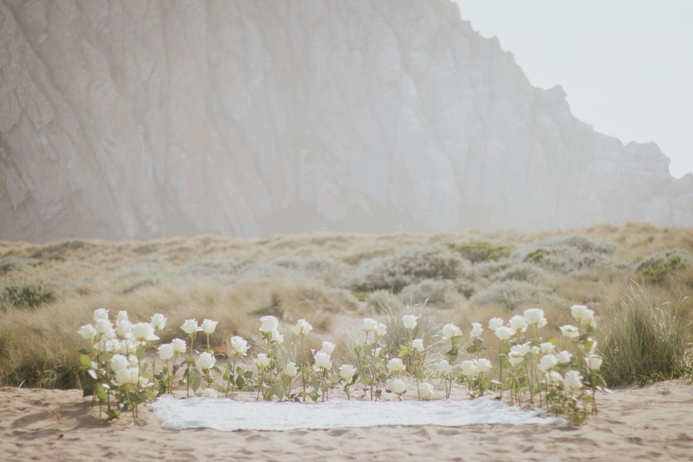 Panoramic view of a misty mountain landscape with desert vegetation and wildflowers in the foreground.