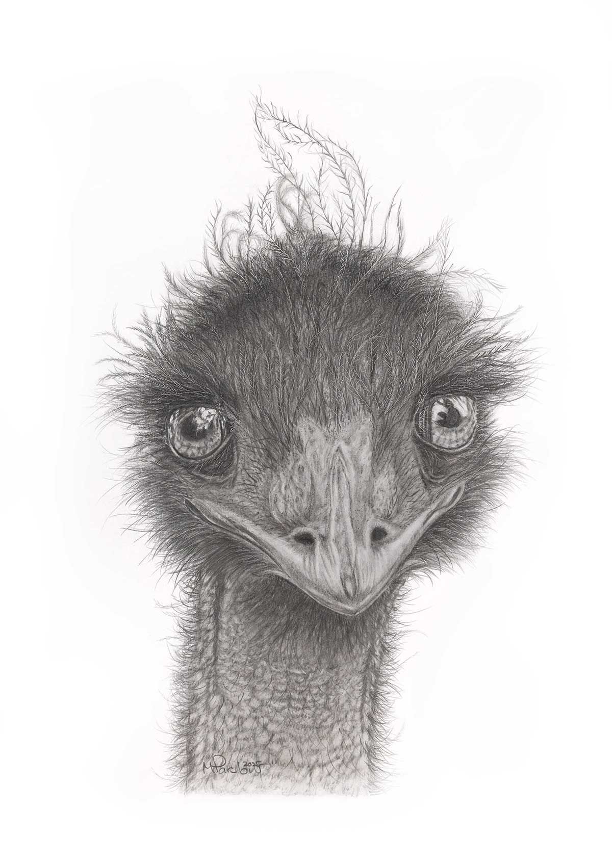 Artwork Credit - Machelle Parslow, Digitised and Printed at JRP Studio Fine Art Printing Wodonga.