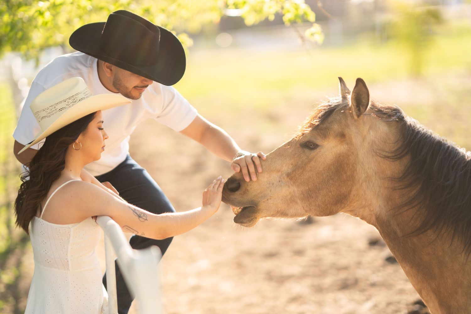 Couple in cowboy hats gently petting a tan horse together in warm golden sunlight on a ranch.