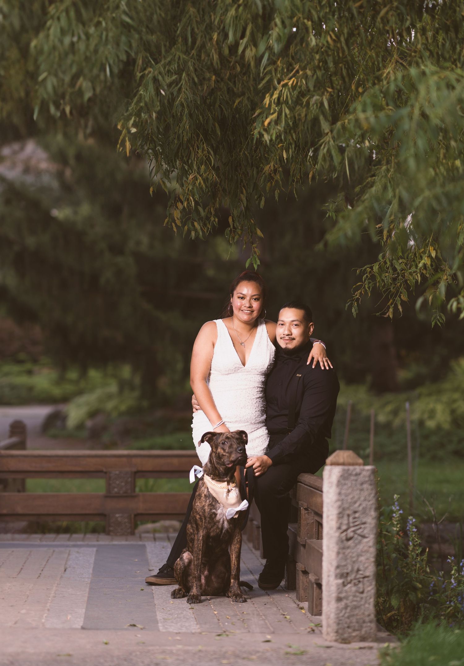 A couple sits with their chocolate lab on stone steps in a lush garden setting.