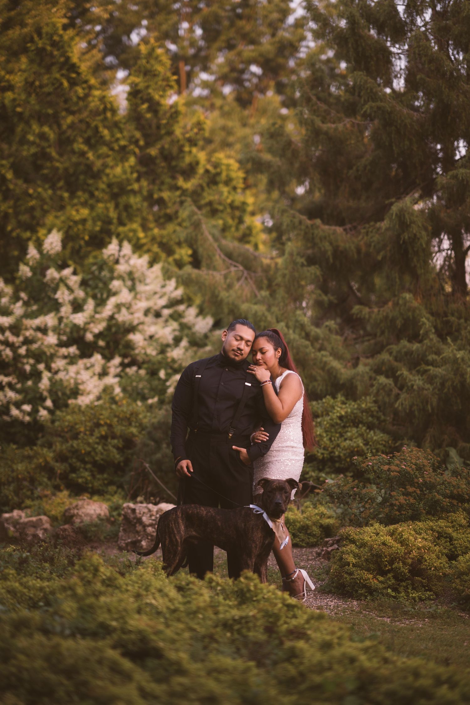 A couple shares a romantic moment among flowering bushes in a garden.