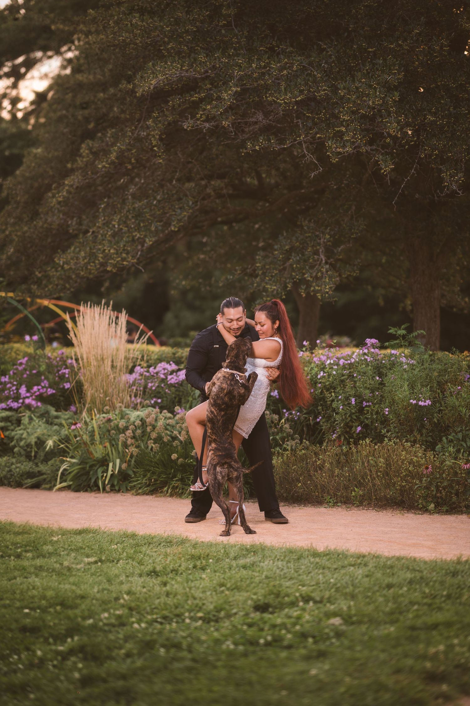 A couple dances together on a garden path surrounded by purple and yellow flowers.