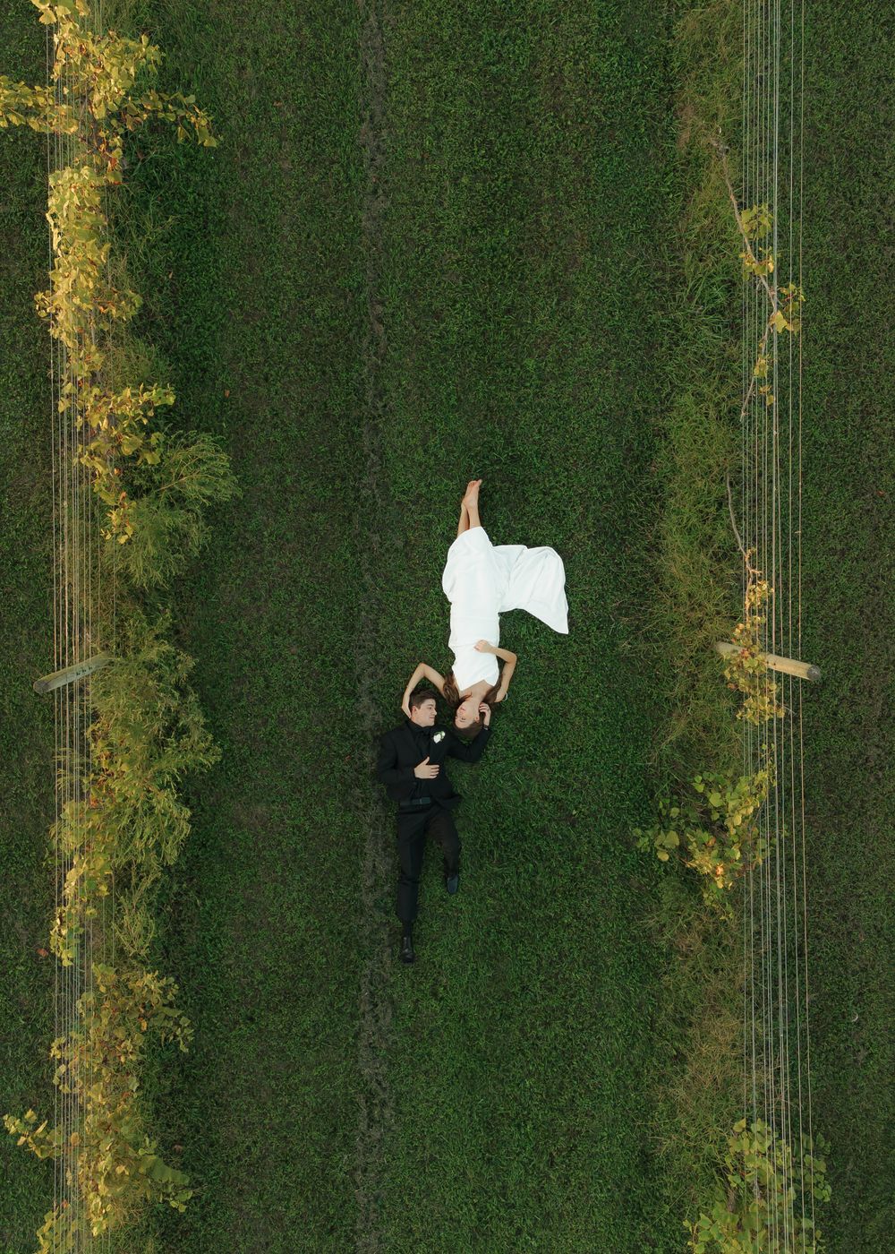 Aerial view of a green lawn with people lying scattered across it creating a unique pattern in the grass.