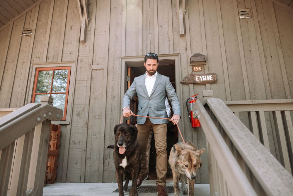 A man in business casual attire walks down wooden stairs with two dogs at a rustic cabin.
