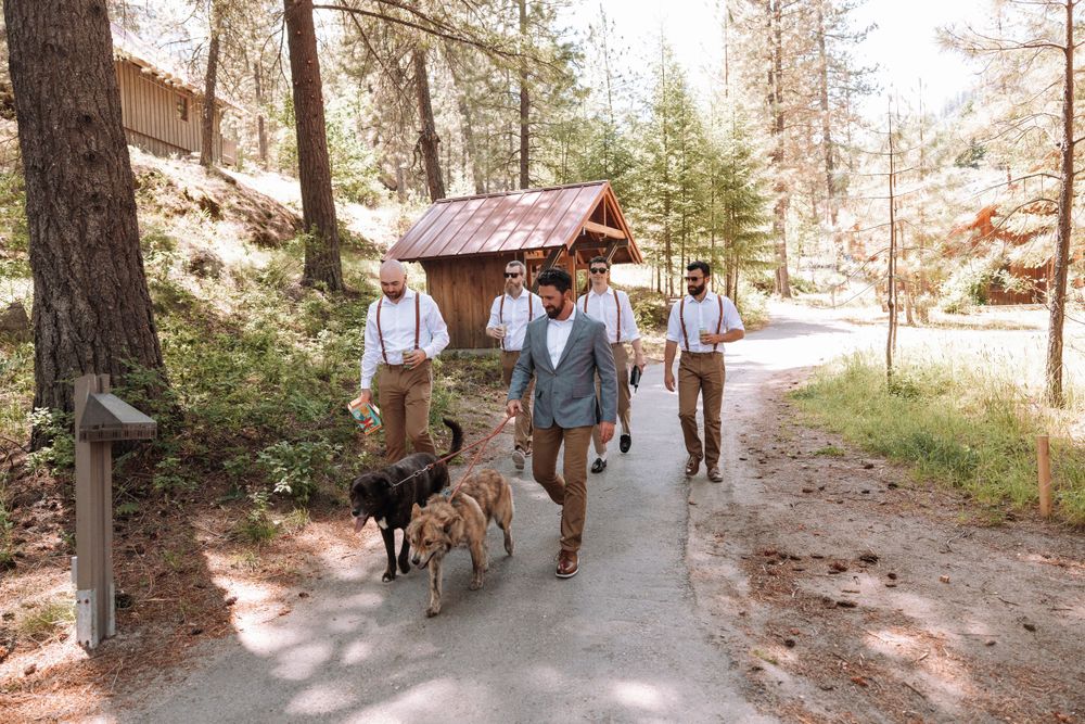 A group walks down a forest path wearing suspenders and button-downs with dogs accompanying them.