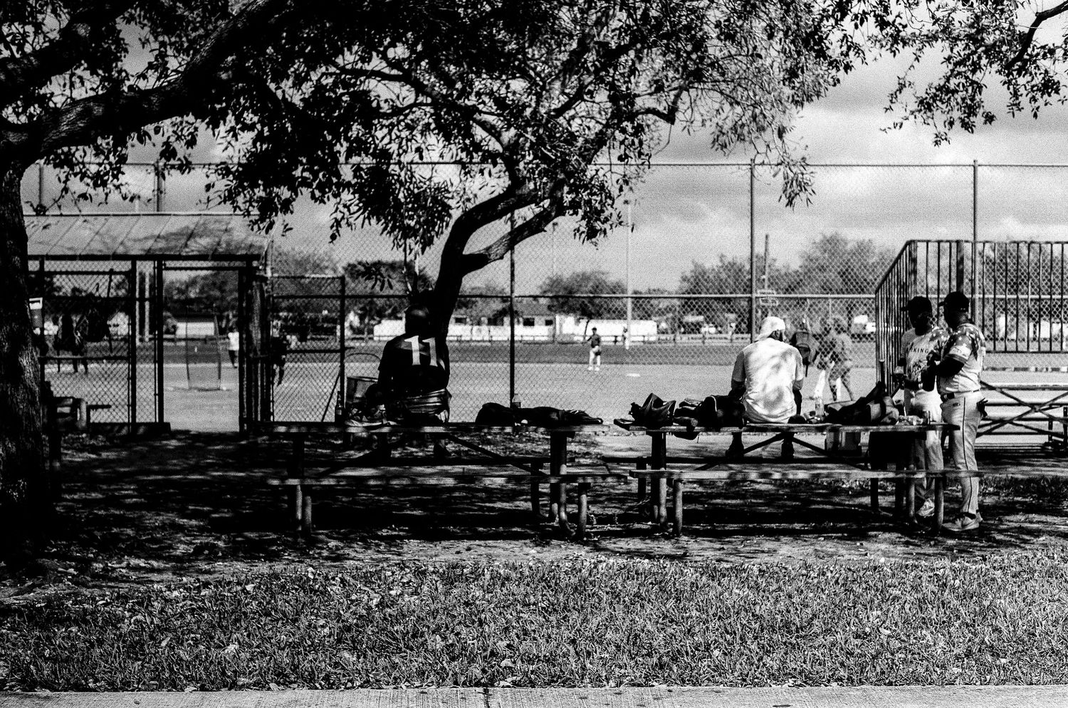 A black and white photograph shows people relaxing on benches under a shady tree at a park with buildings in the background.