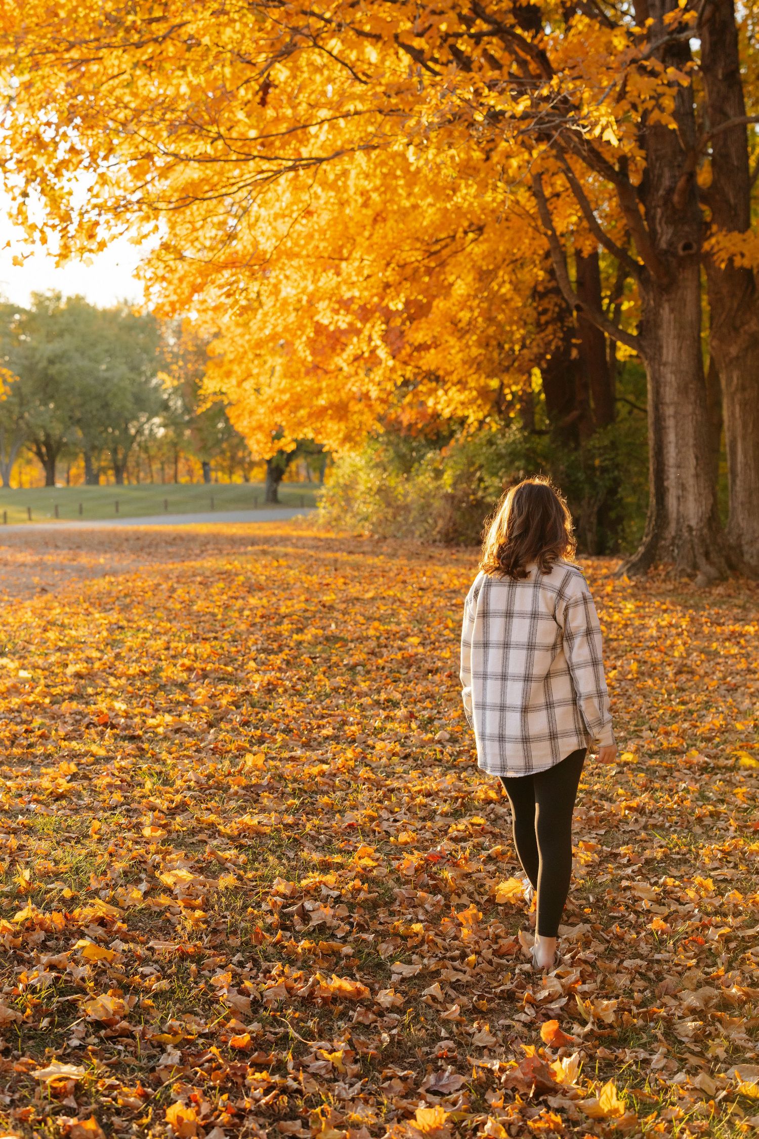 Woman in plaid shirt walking on autumn path covered in golden leaves during sunset beneath yellow fall foliage.