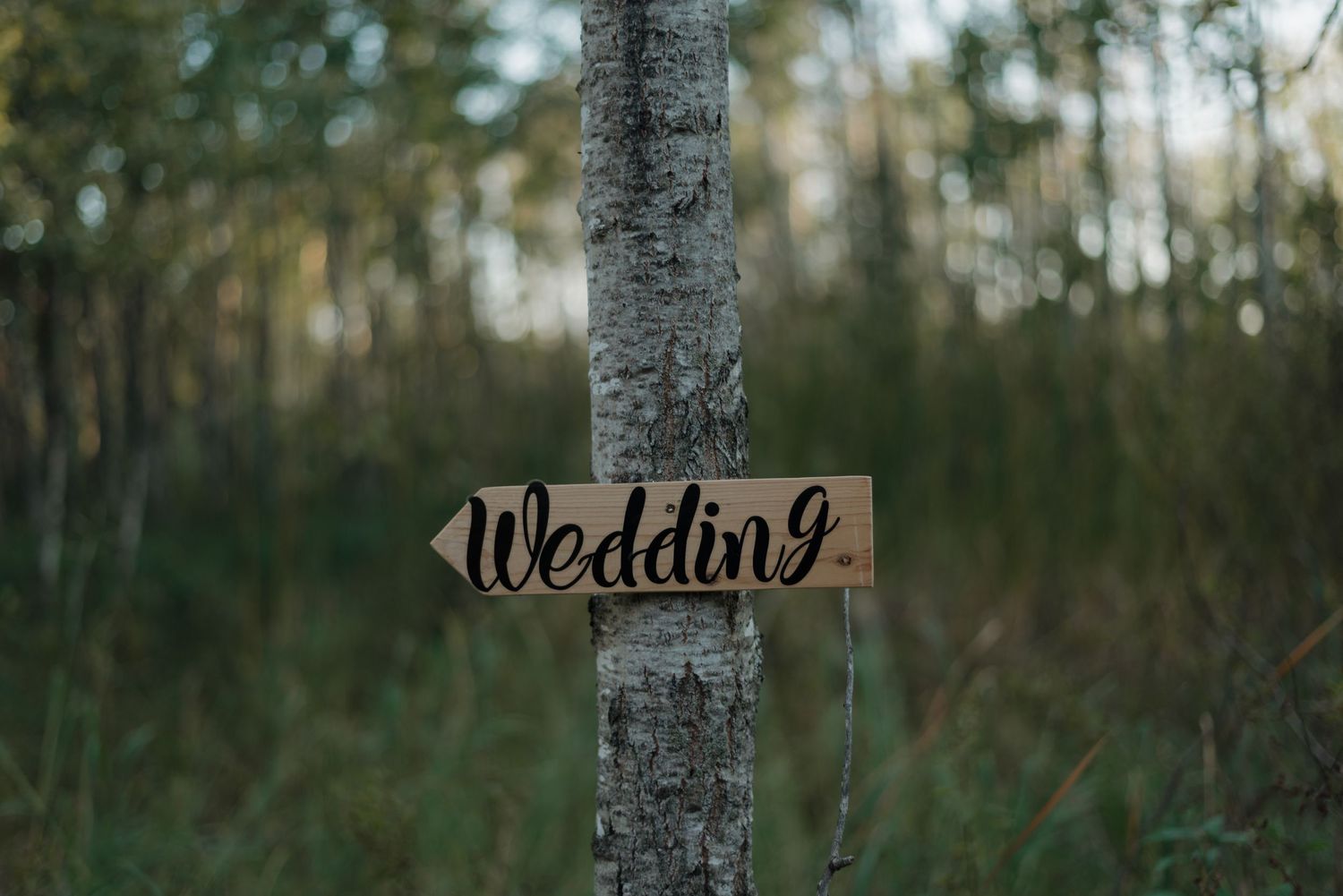 A rustic wooden wedding direction sign mounted on a birch tree trunk in a forest setting.