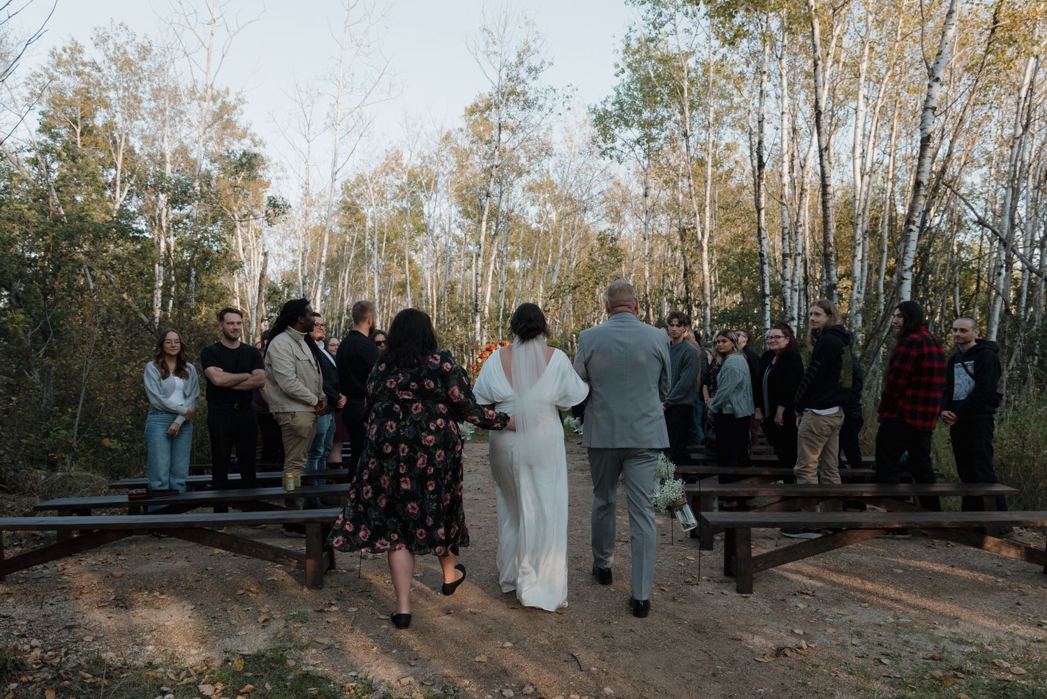 Wedding guests gather on wooden benches surrounded by birch trees at an outdoor forest ceremony.
