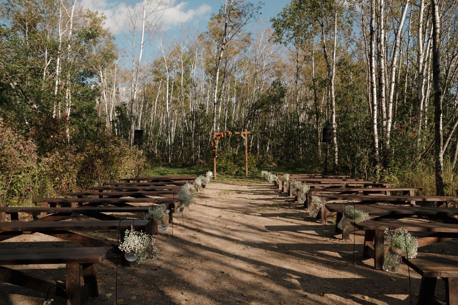 Rustic outdoor amphitheater with wooden log benches surrounded by tall birch trees on a dirt path.