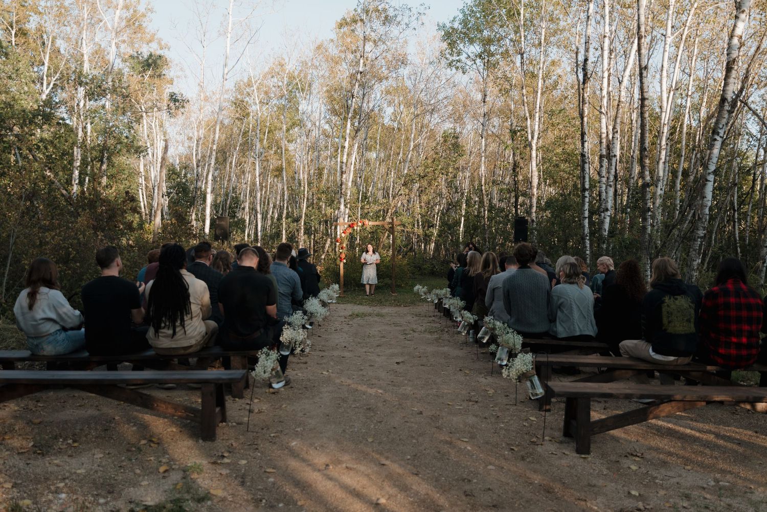 Guests sit on wooden benches at an outdoor ceremony in a birch forest during golden hour.