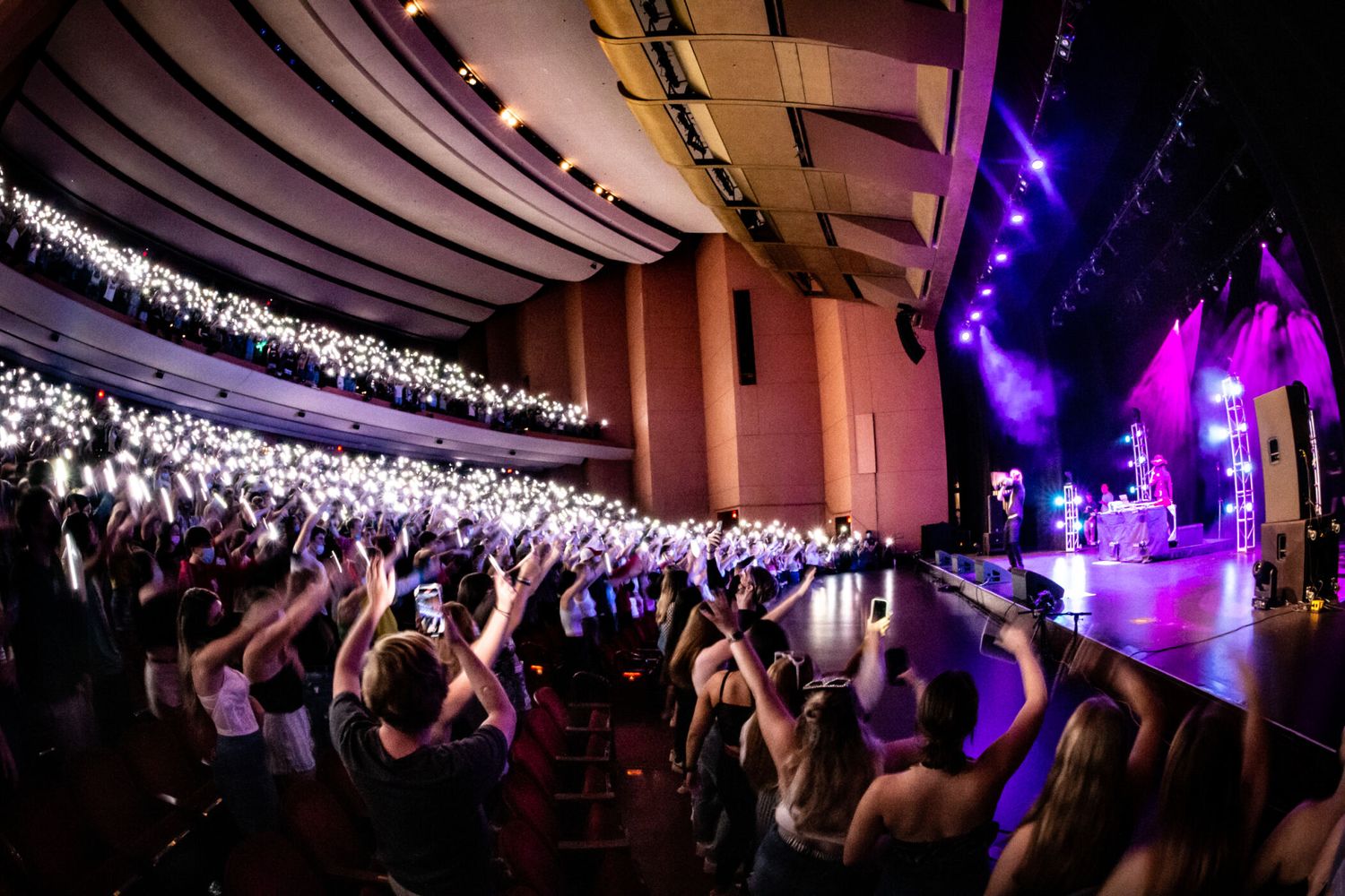 Concert crowd enjoying a nighttime performance with purple lighting and string lights creating an energetic atmosphere.