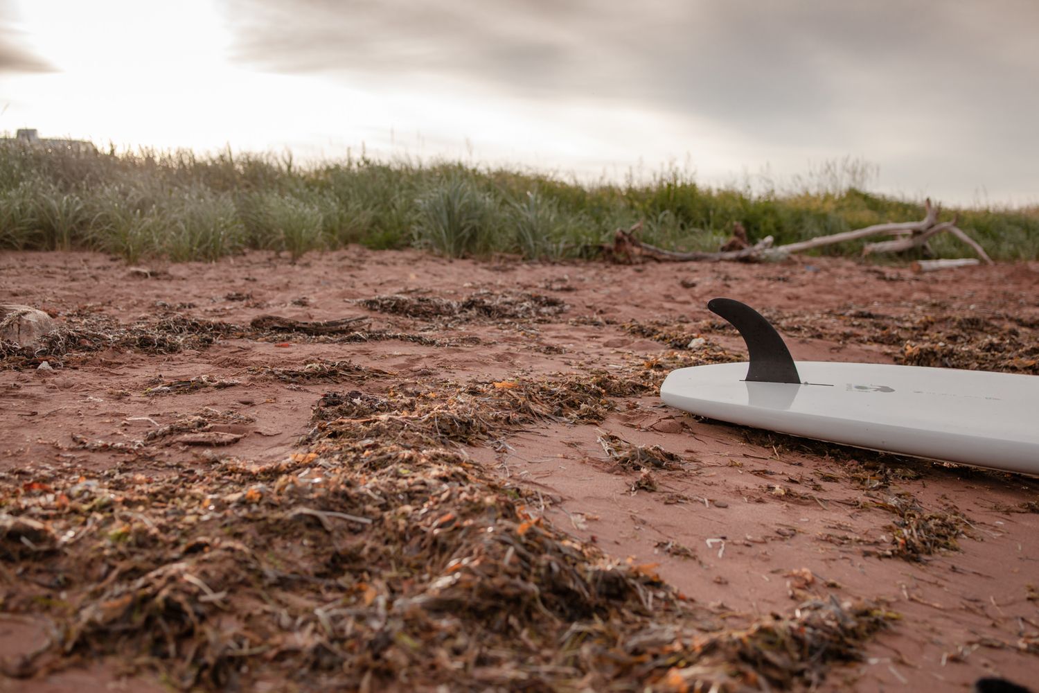Paddle board lays on a red sand beach in Chelton, PEI, Canada.