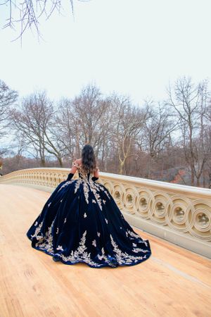 Person in navy blue ball gown with silver embellishments poses on Bow Bridge in Central Park during winter.