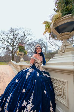 A dark navy blue ball gown with silver butterfly details photographed outdoors against ornate stone garden architecture.