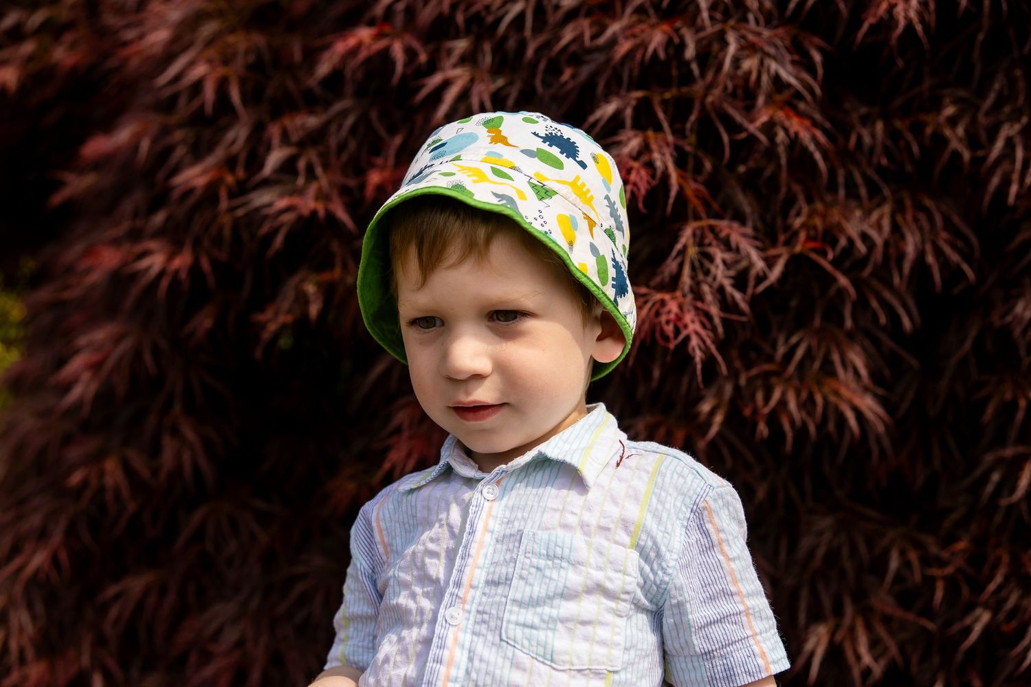 Boy in the leaves photo