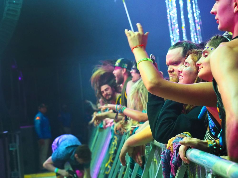 Electric forest